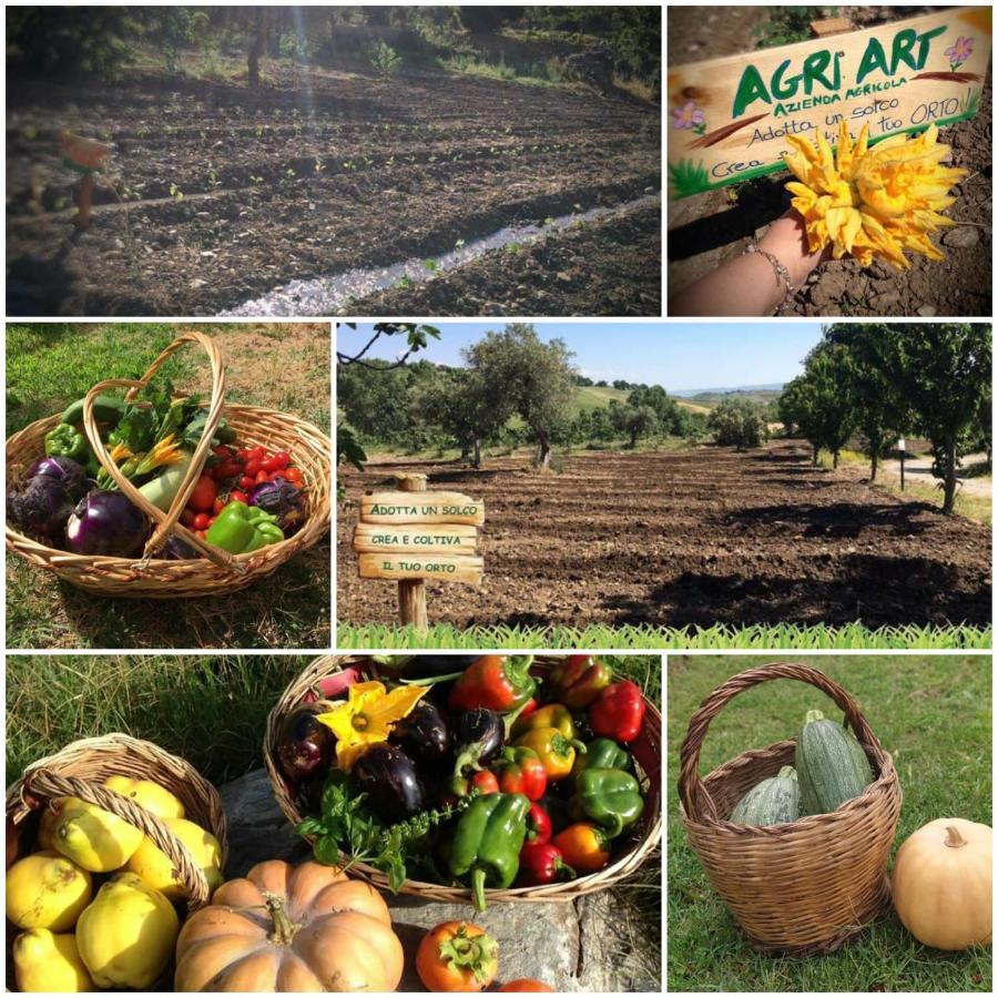Agri Art Villa San Benedetto Ullano Luaran gambar