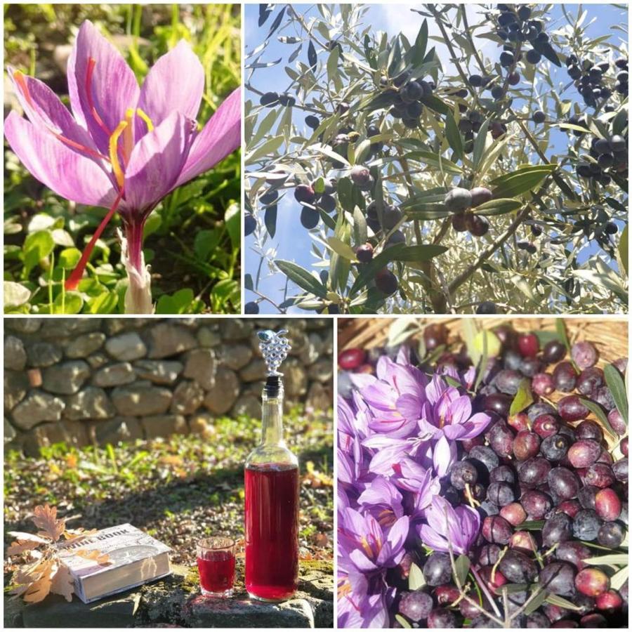 Agri Art Villa San Benedetto Ullano Luaran gambar