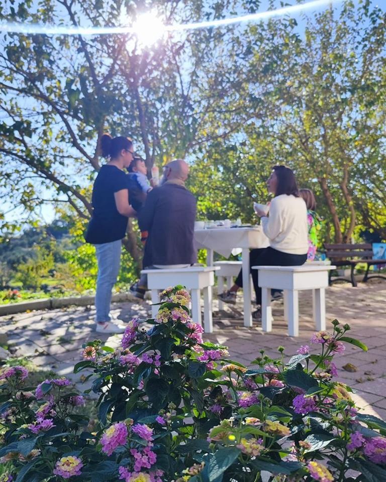 Agri Art Villa San Benedetto Ullano Luaran gambar